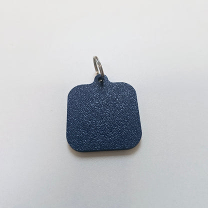 Colour Blindness Screening Keychain, 20pcs