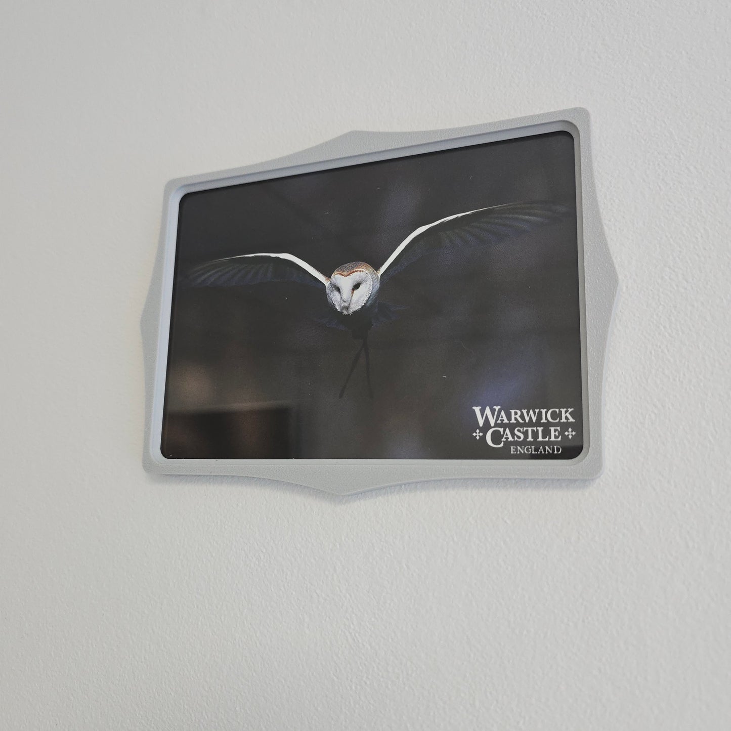 SecureFrame – A Secure Display Solution for Semi-Public Spaces
