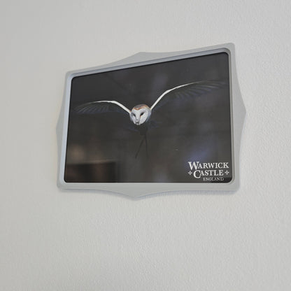 SecureFrame – A Secure Display Solution for Semi-Public Spaces